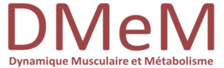 Dynamique Du Muscle et Métabolisme (DMEM)